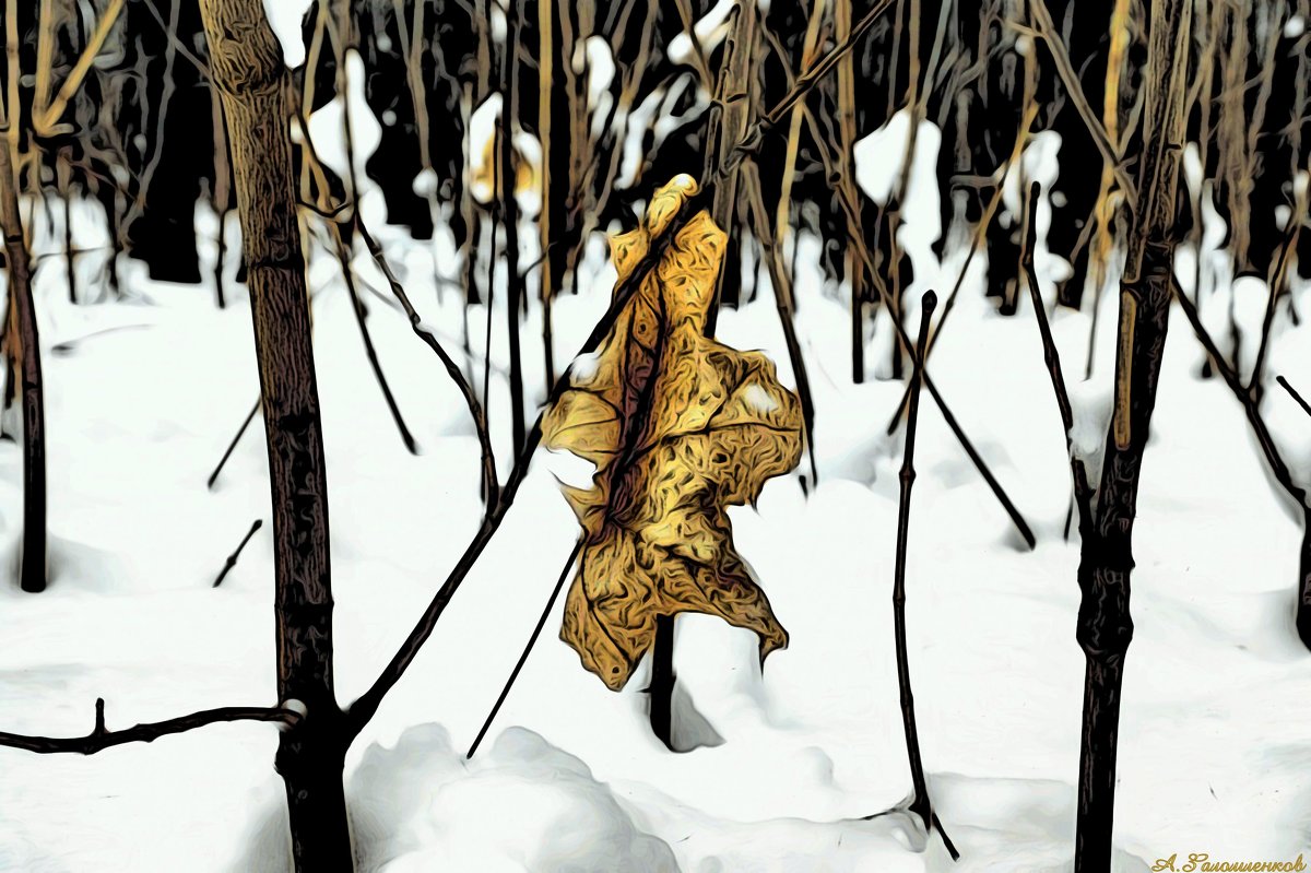 Мёрзнет бамбук в декабре, холодно делать сеппуку..Поеду лучше в Киото..:) - Андрей Заломленков