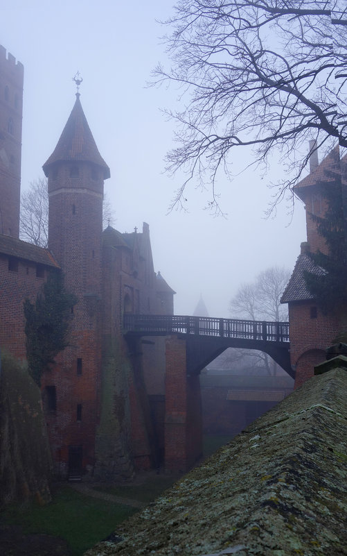 Замок и туман - Elena N