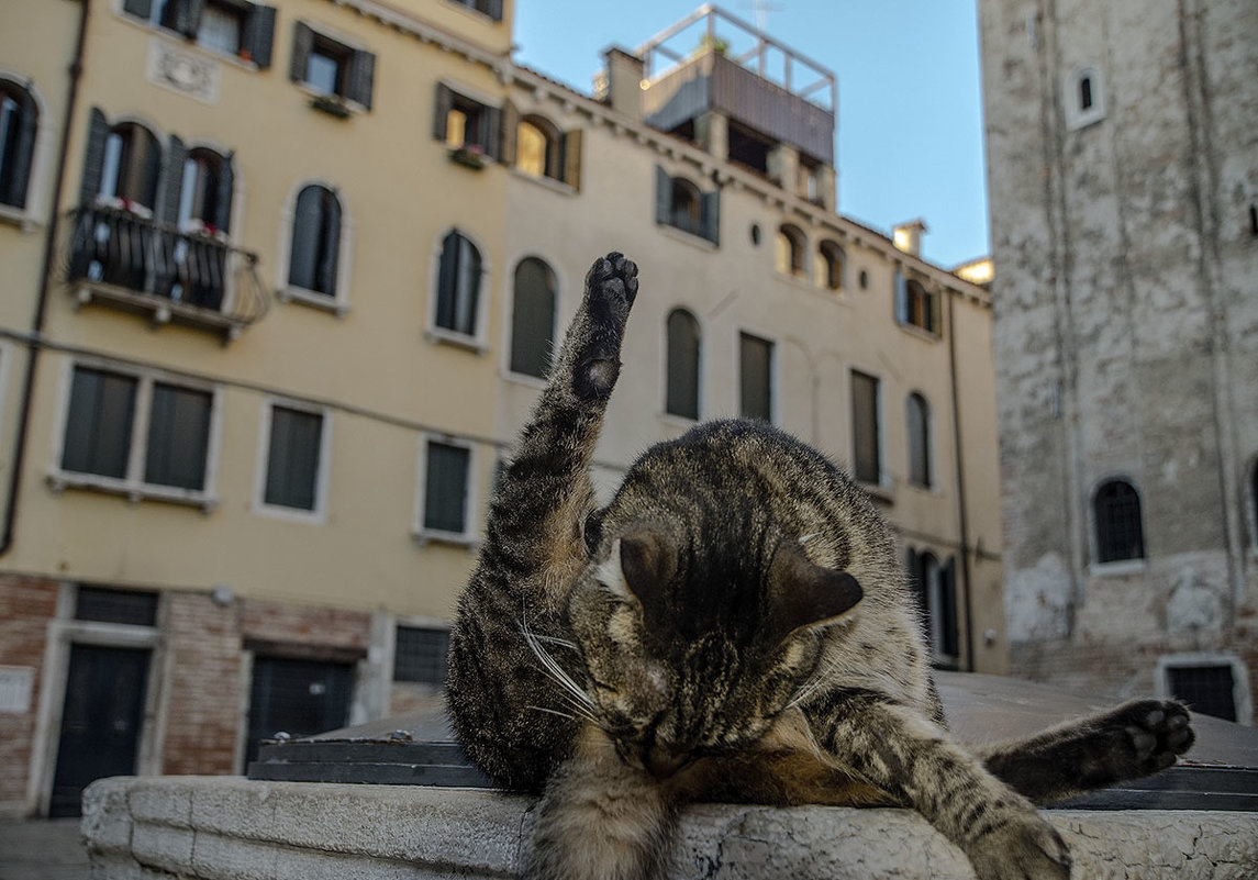 Venezia.Campo San Silvestro. - Игорь Олегович Кравченко