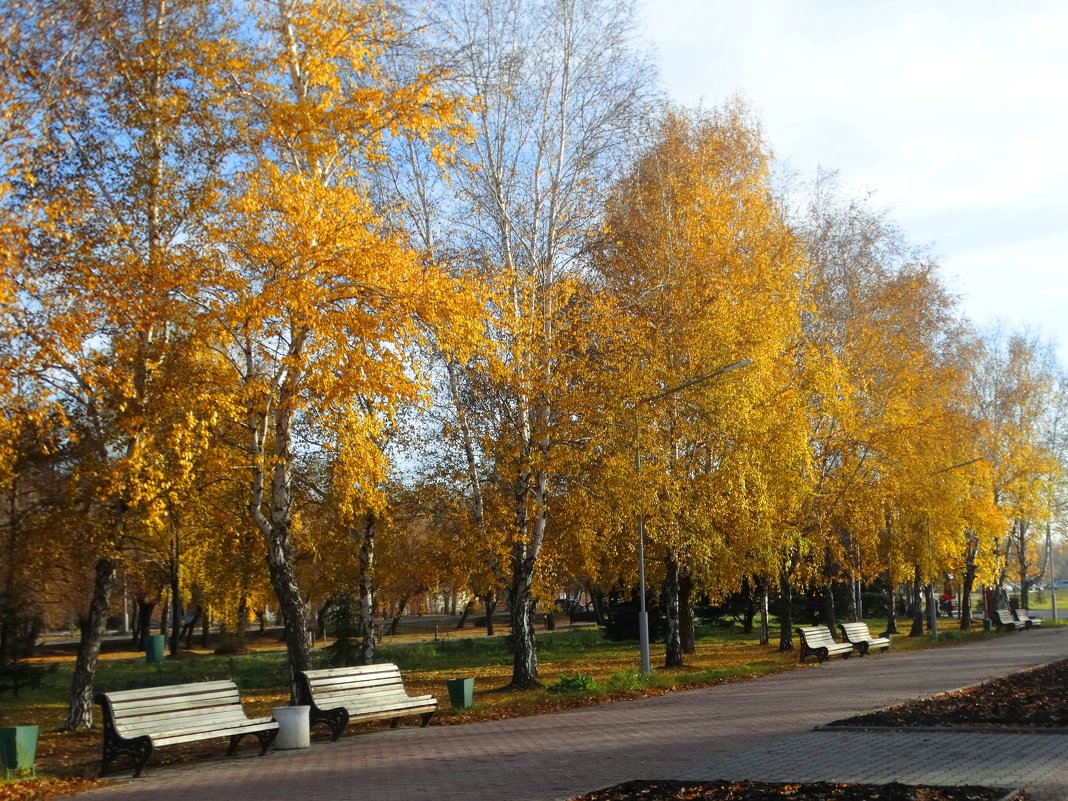 Осень в городе - Александр Подгорный