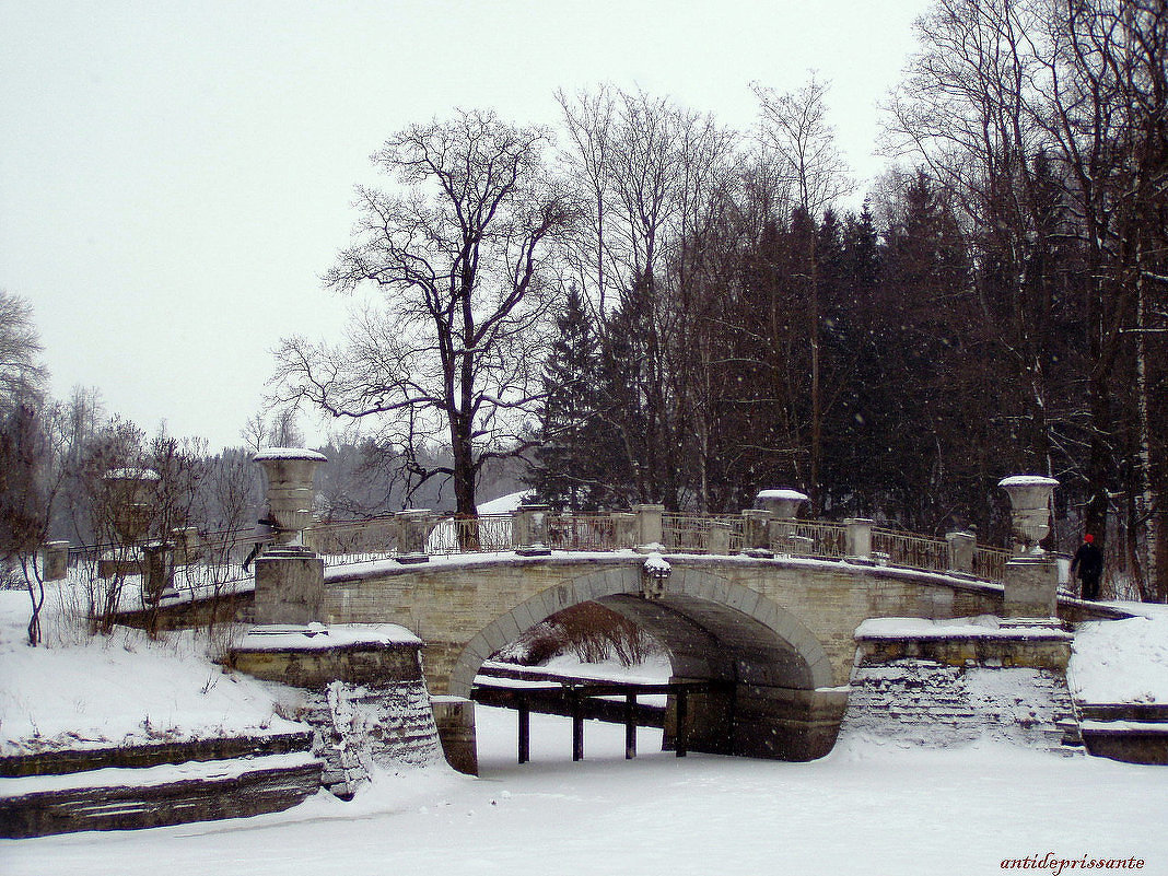 Павловск - vadim 