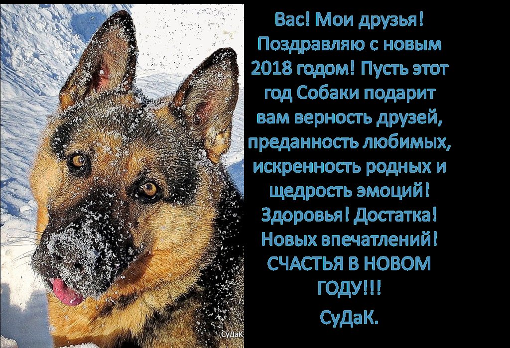 С Новым 2018 годом! - Дмитрий Строганов