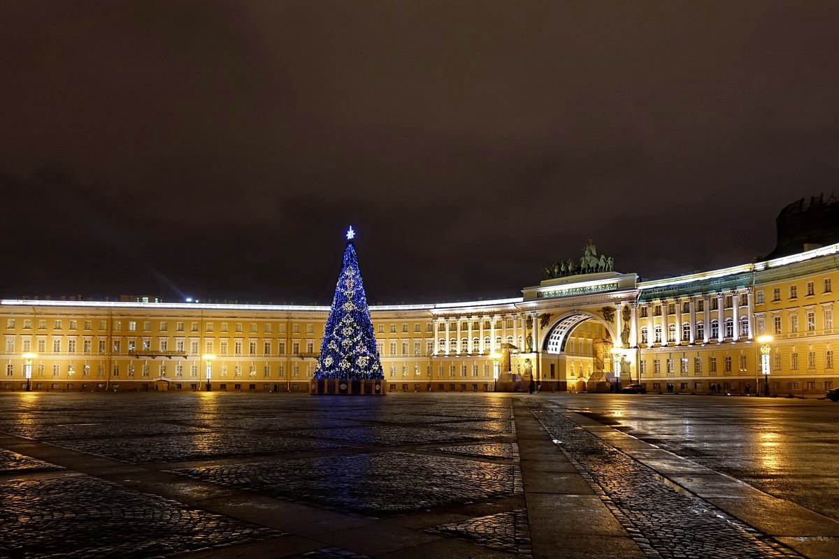Новогодняя ель на Дворцовой площади - Сергей 