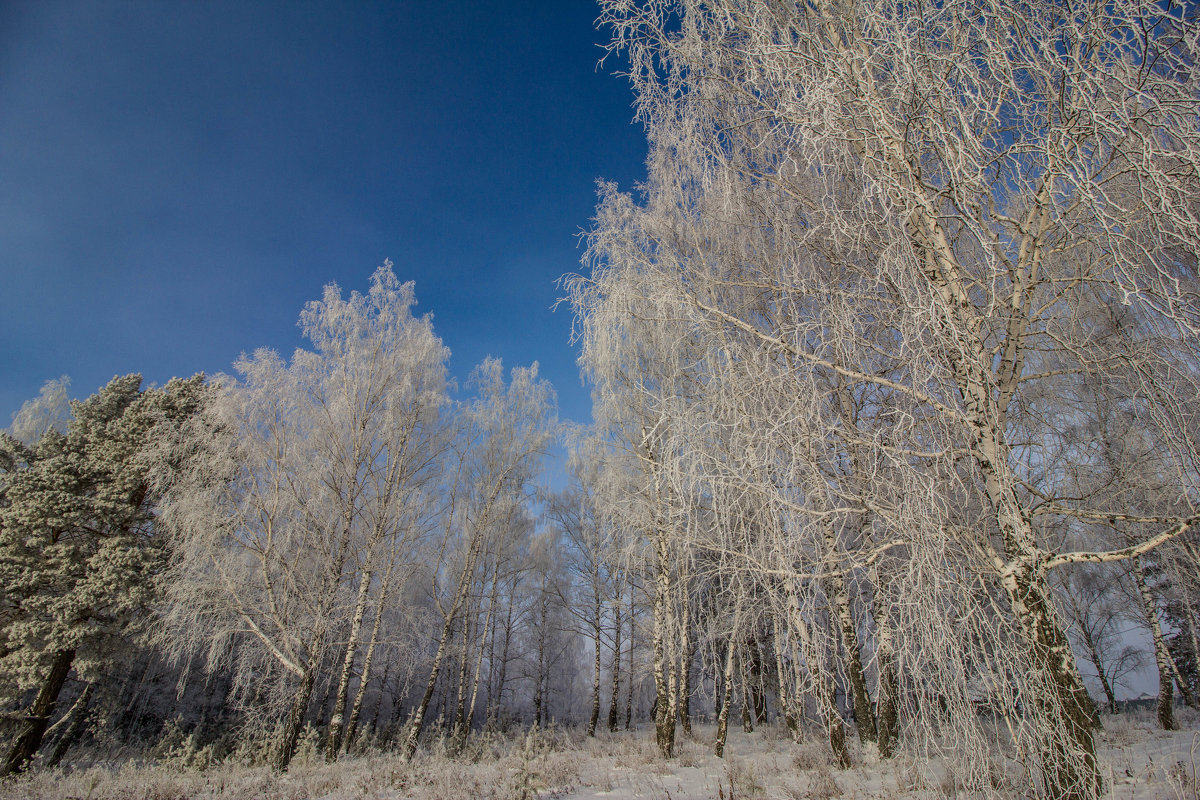 *** - Nataliya Belova