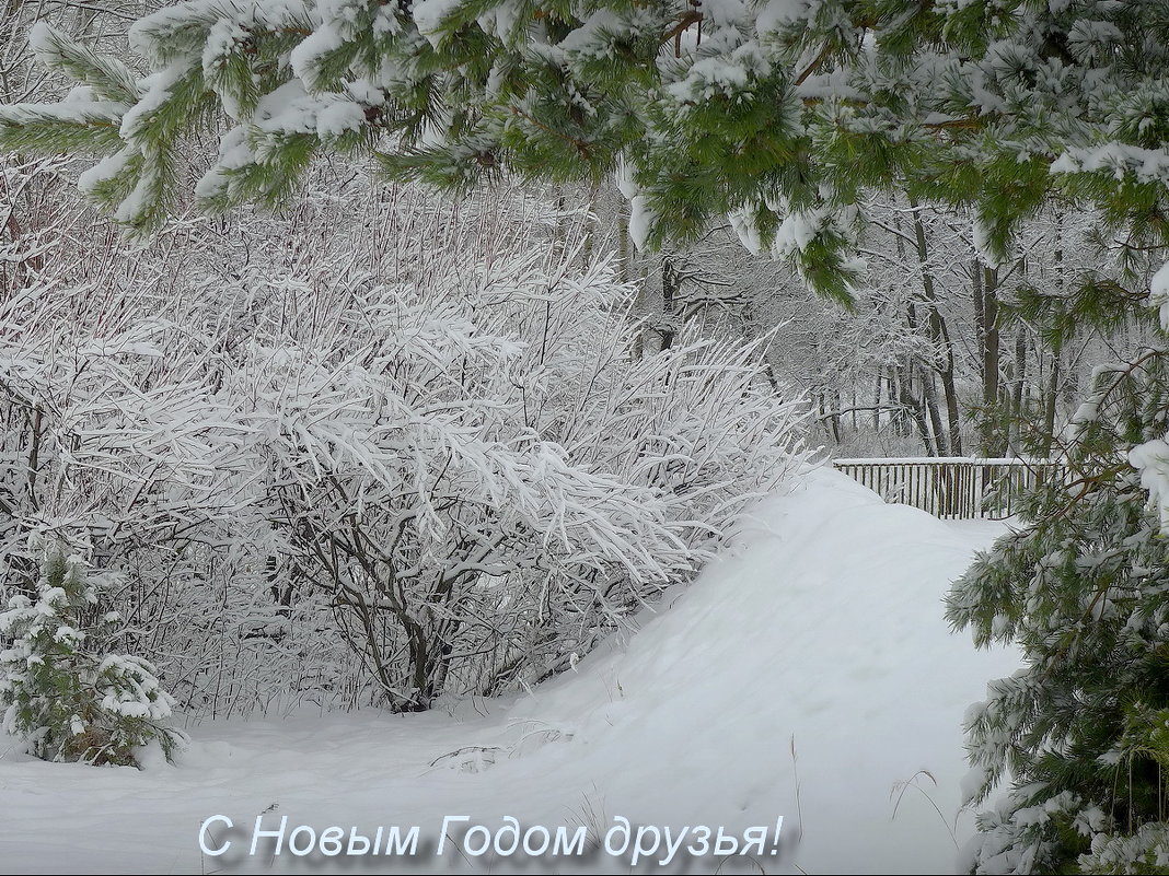 В Загородном! - Владимир Шошин