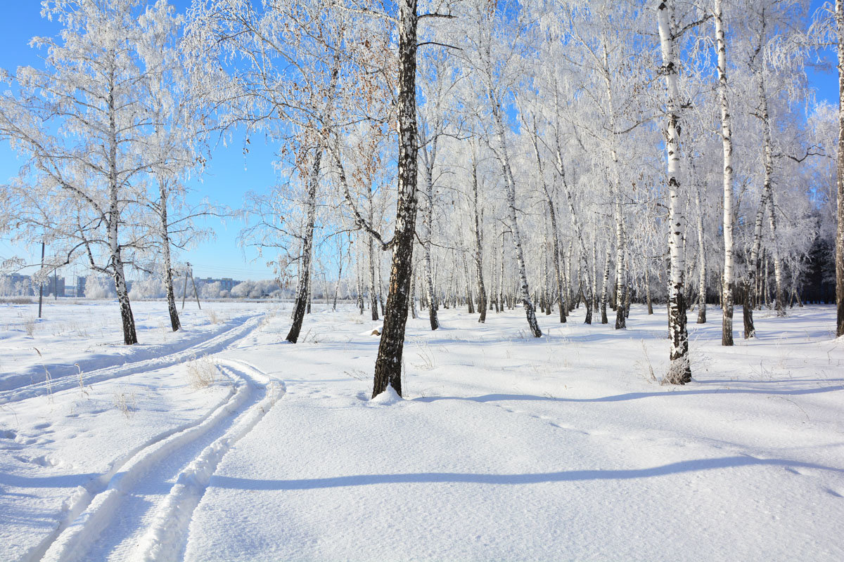 Зима  в  пригороде - Геннадий Супрун