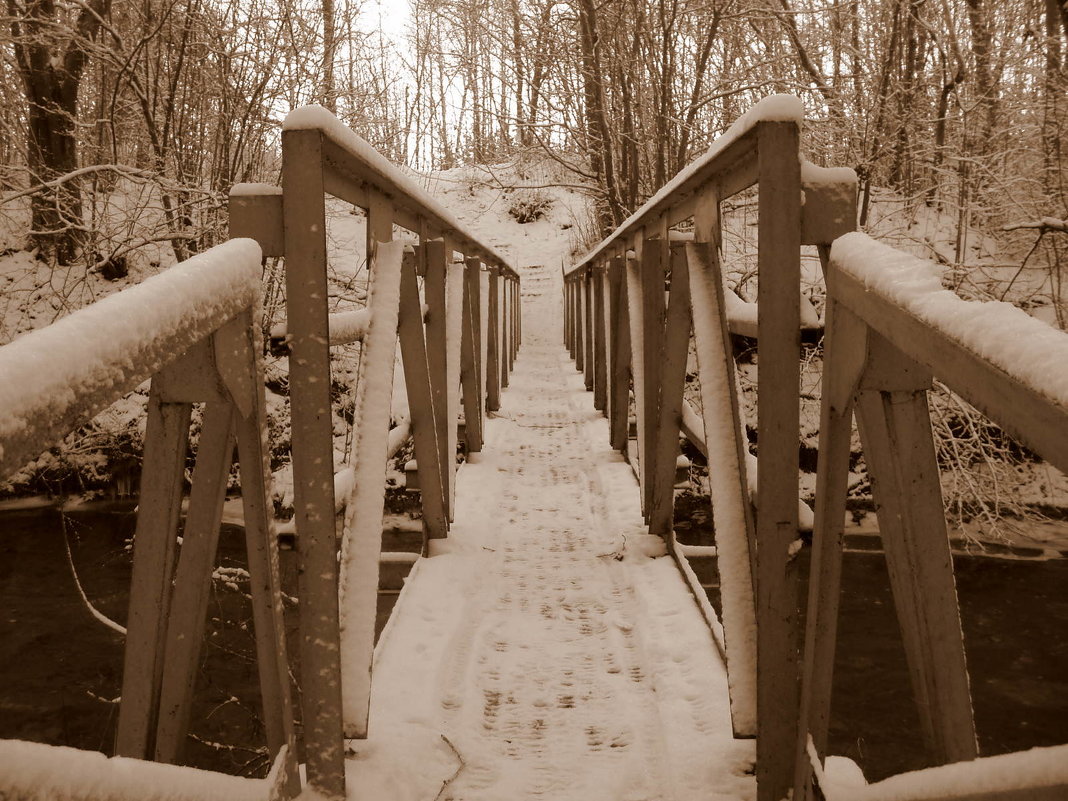 Tiltas per Lėvenį / Bridge through the river Lėvuo - silvestras gaiziunas gaiziunas