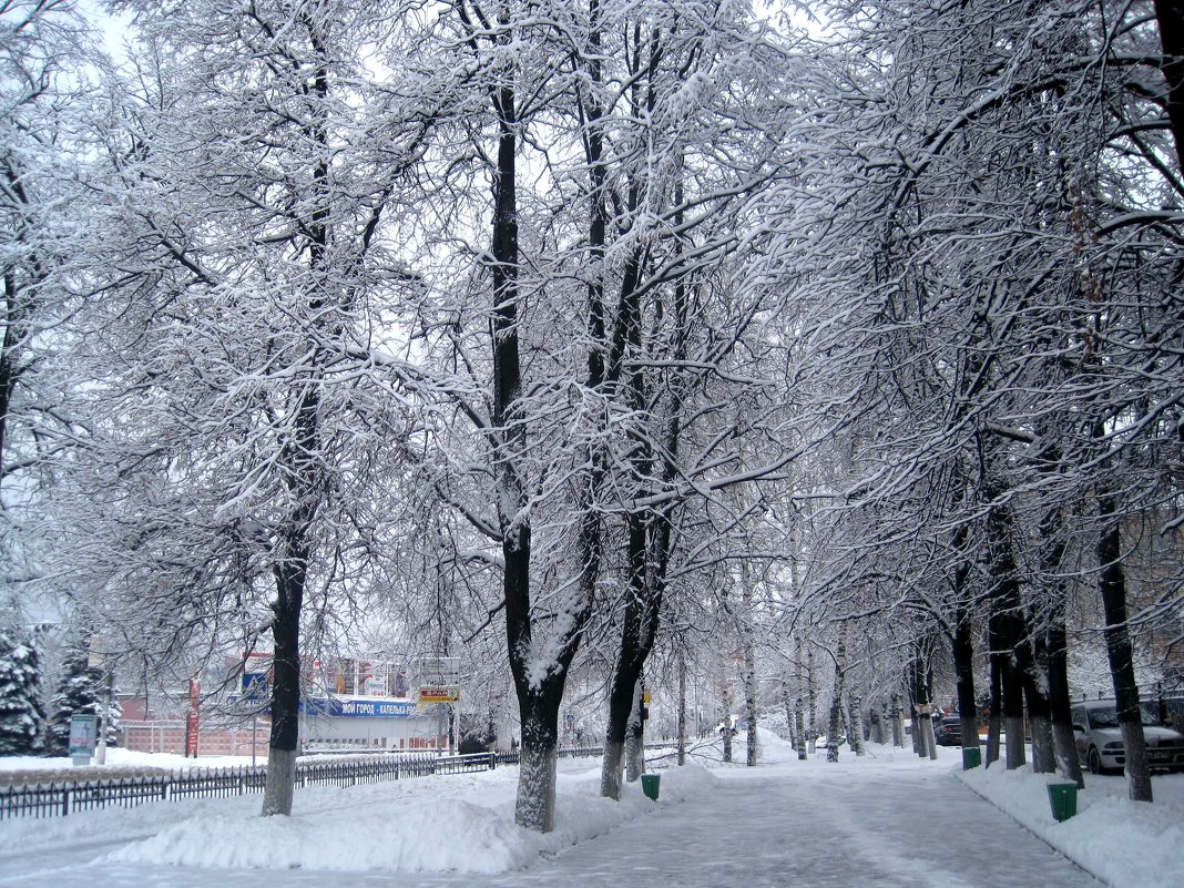 Cнежной зимой - Елена Семигина