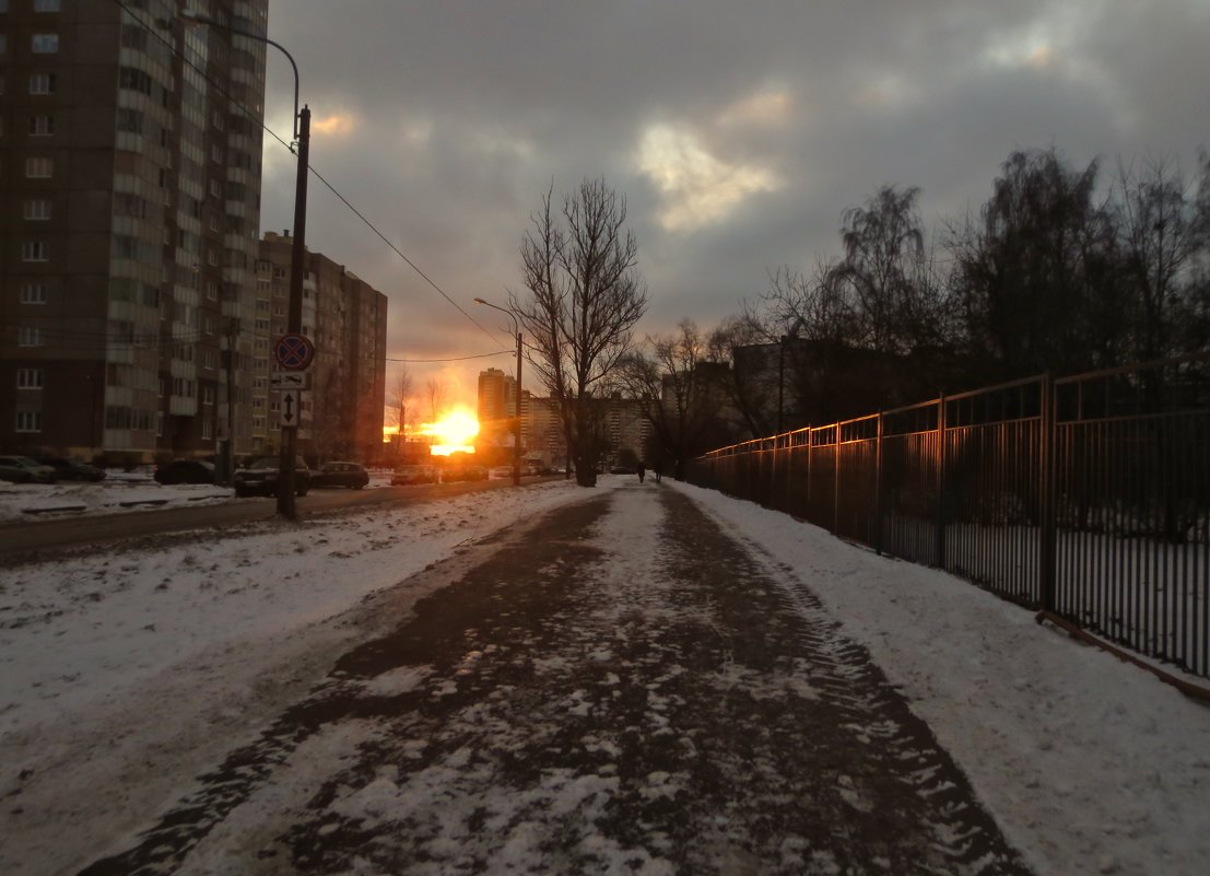 зимний рассвет в городе - Елена 
