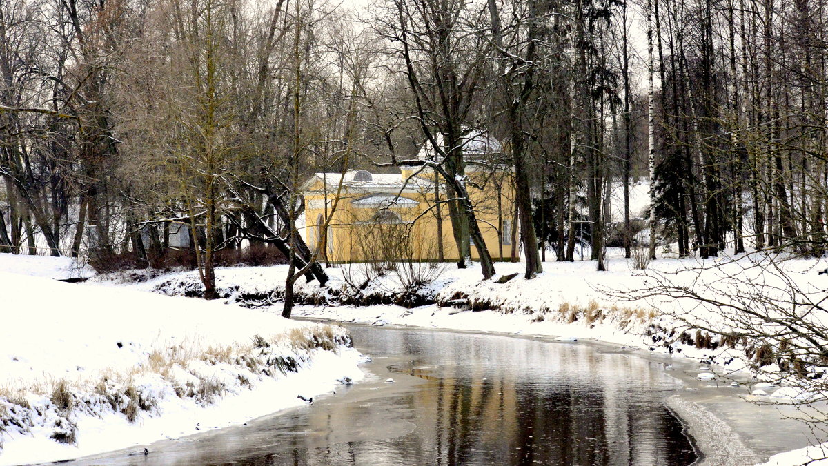 Павловск 18 - Сергей 