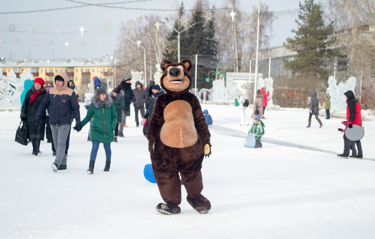 Вот такие медведи ходят в Сибири - Сергей Черепанов