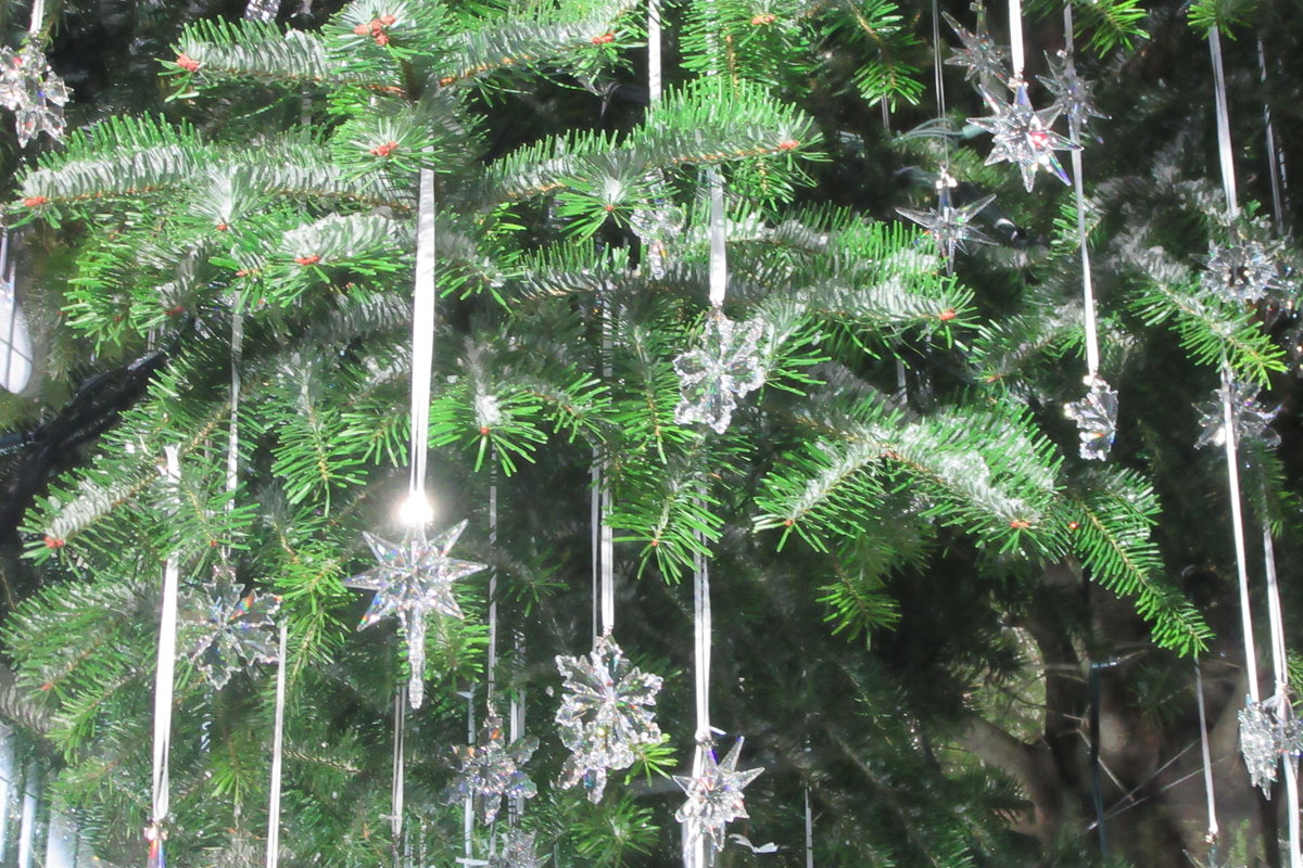 Рождественская елка в Цюрихе - Mariya laimite