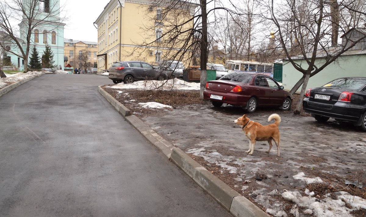 Взял под охрану - Владимир Болдырев