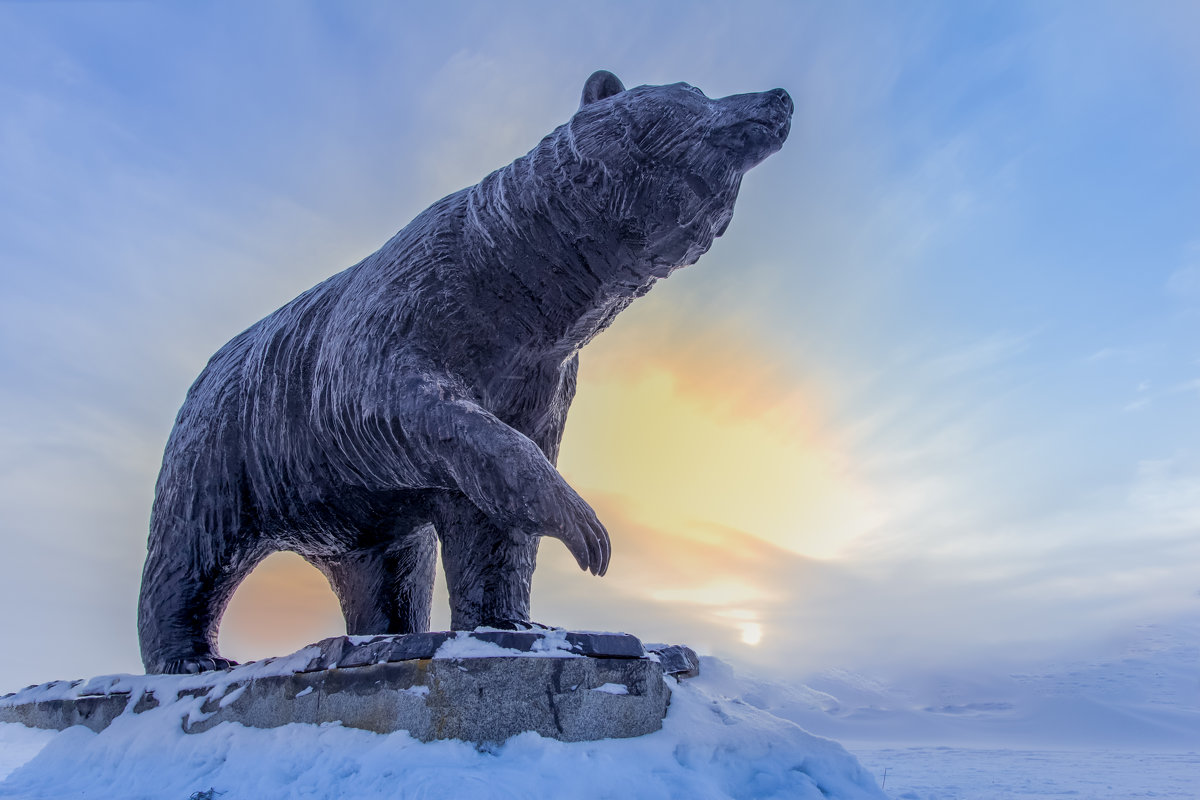 Медведь - Андрей Кузнецов