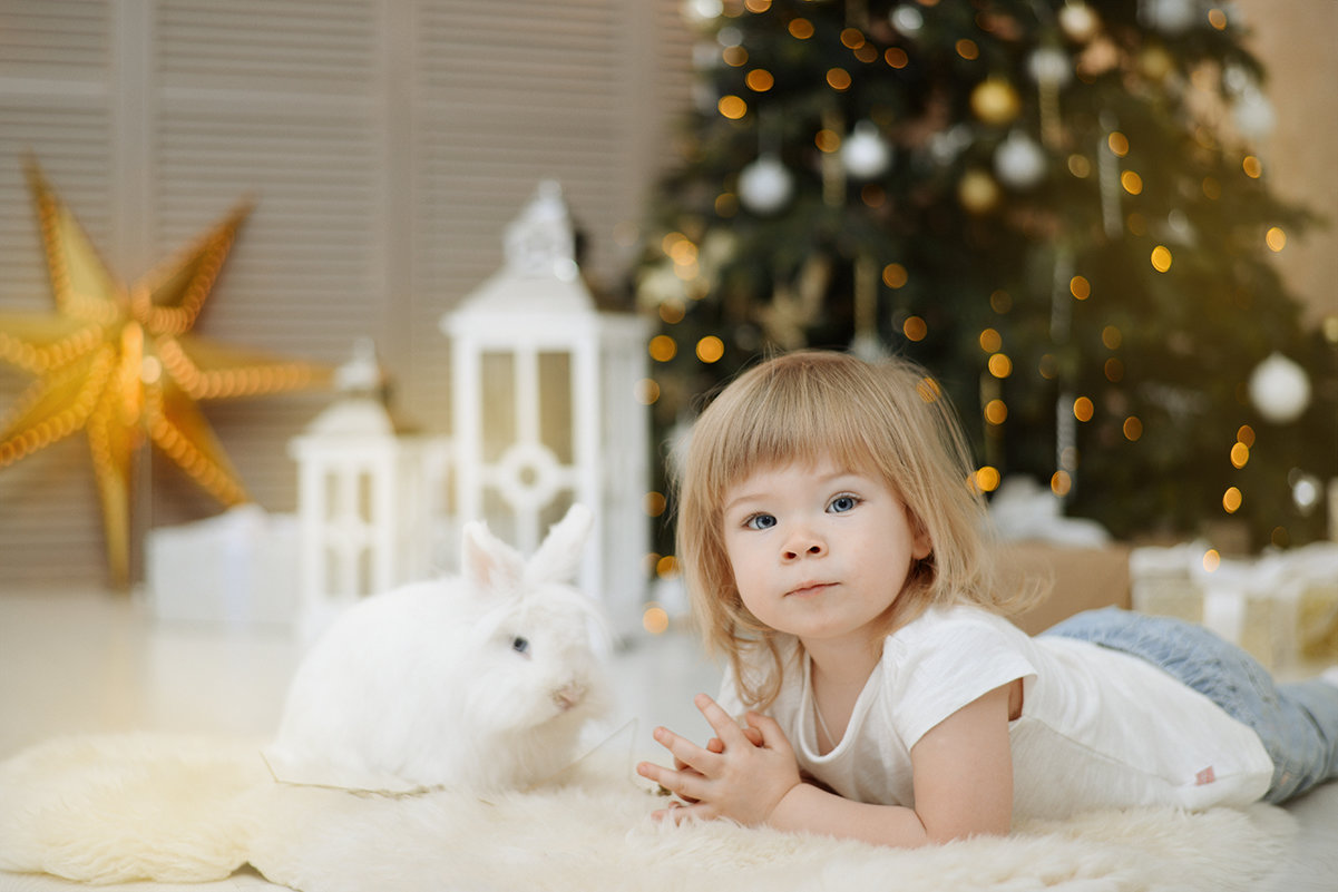 Семейная новогодняя фотосессия с кроликом - Таня Турмалин