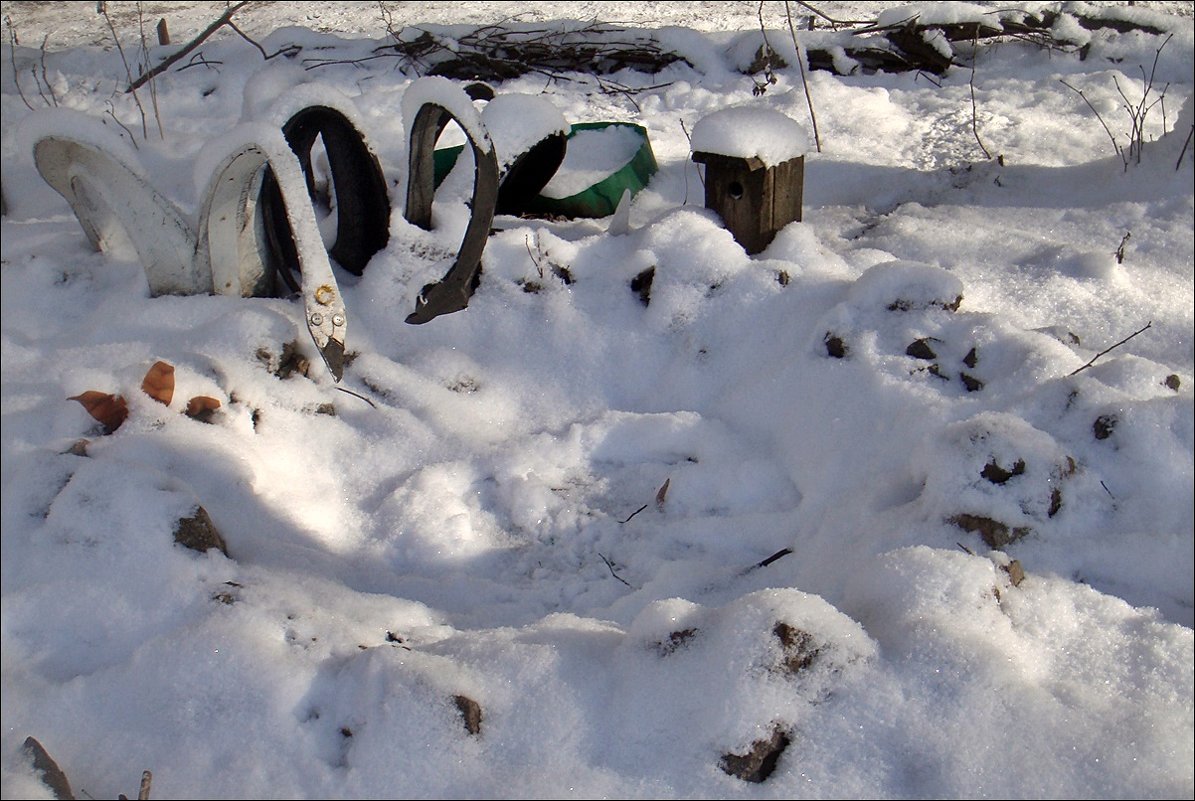Лебеди у замёрзшего пруда - Нина Корешкова