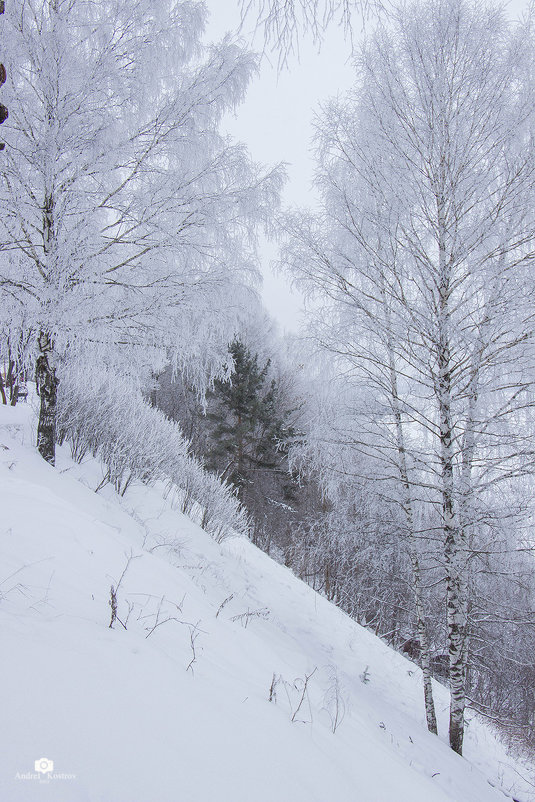 Волшебство зимы - Андрей Костров