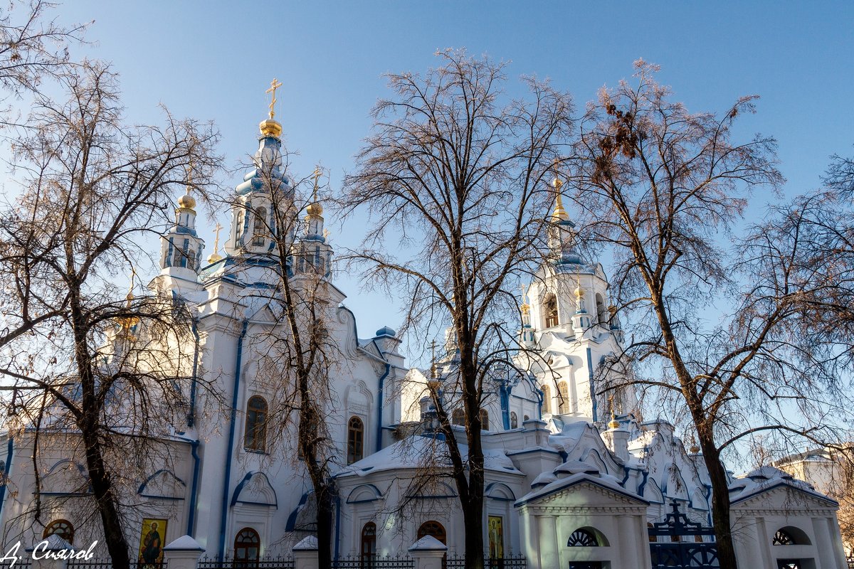 Знаменский кафедральный собор - Дмитрий Сиялов