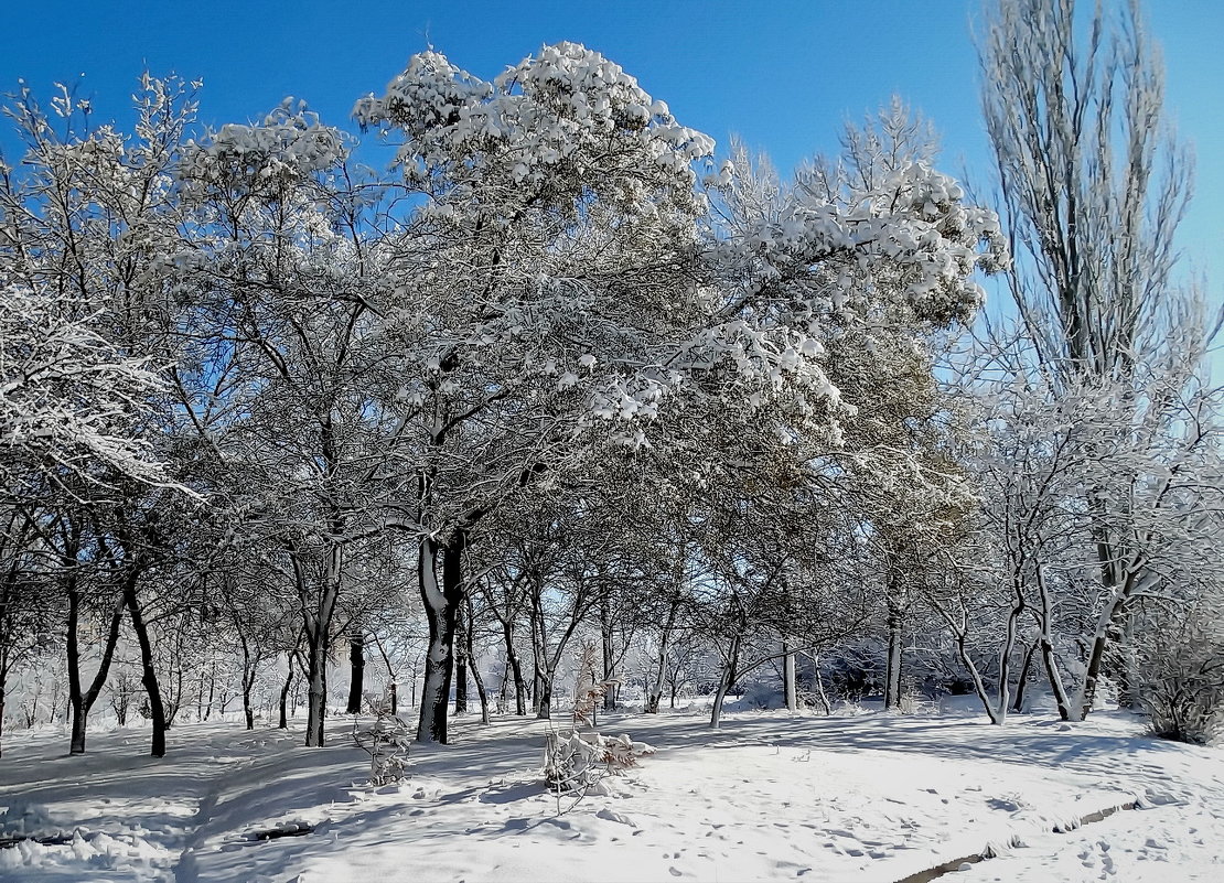 Зима 2018. Фото№1 - Владимир Бровко