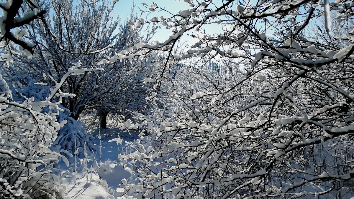 Зима-2018 Фото №5 - Владимир Бровко