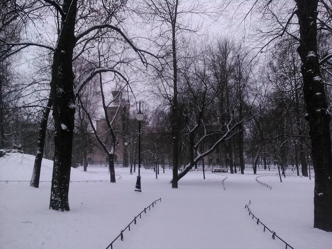Аллея в зимнем парке. (Санкт-Петербург). - Светлана Калмыкова