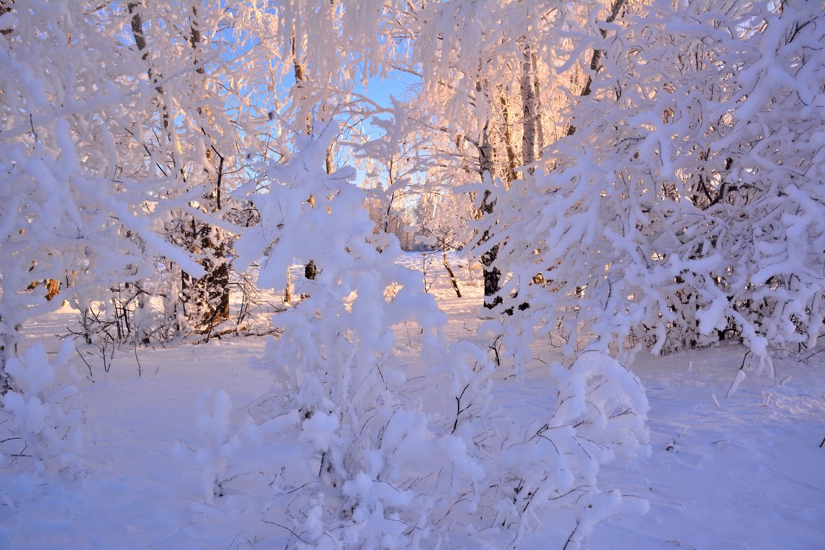Волшебница-Зима - Геннадий Ячменев