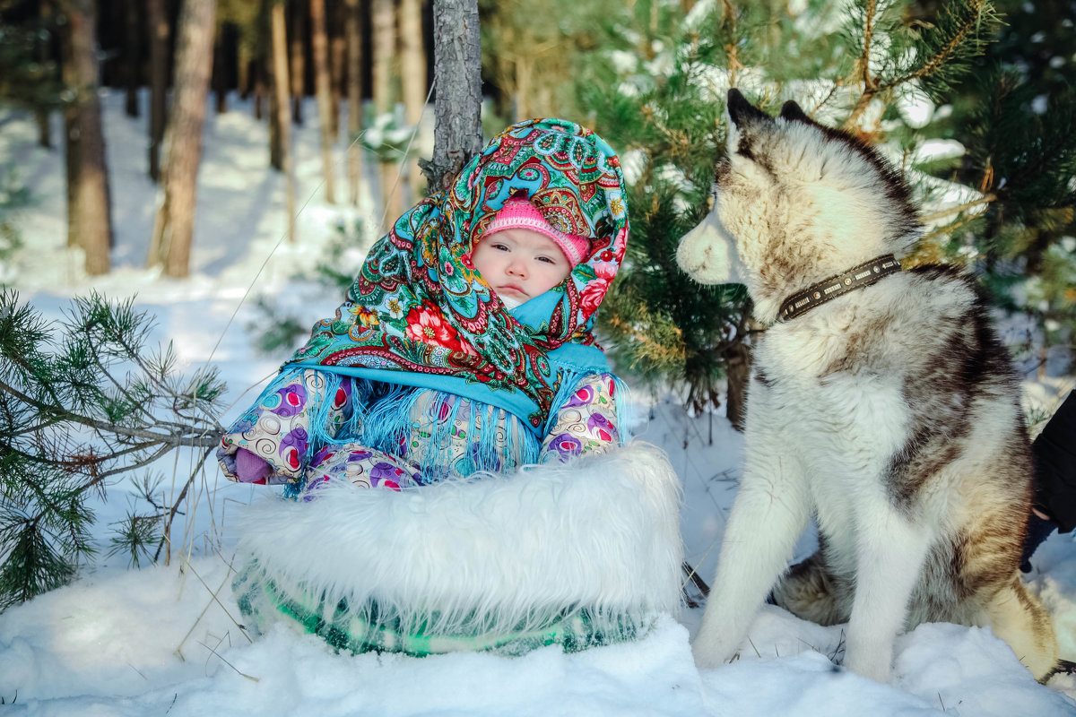 зимняя фотосессия с хаски - Наталья 