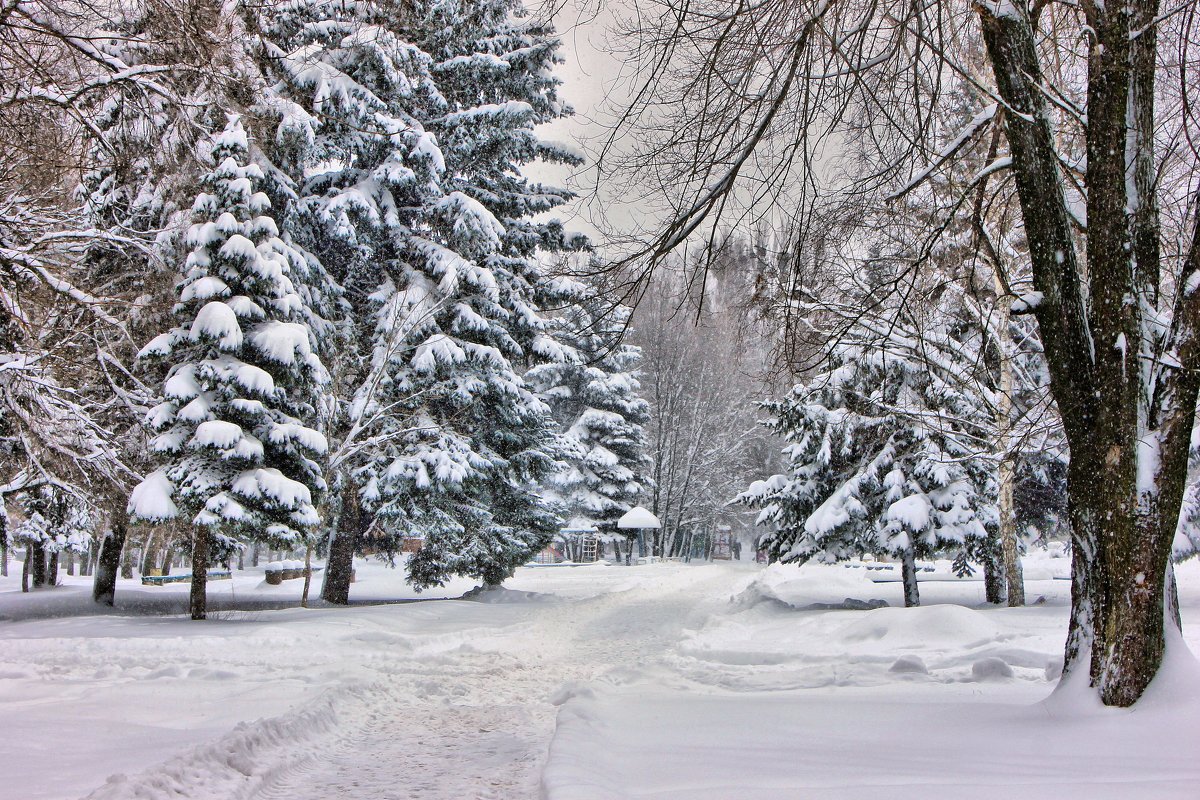 Зима пришла неторопливо... - Валентина ツ ღ✿ღ