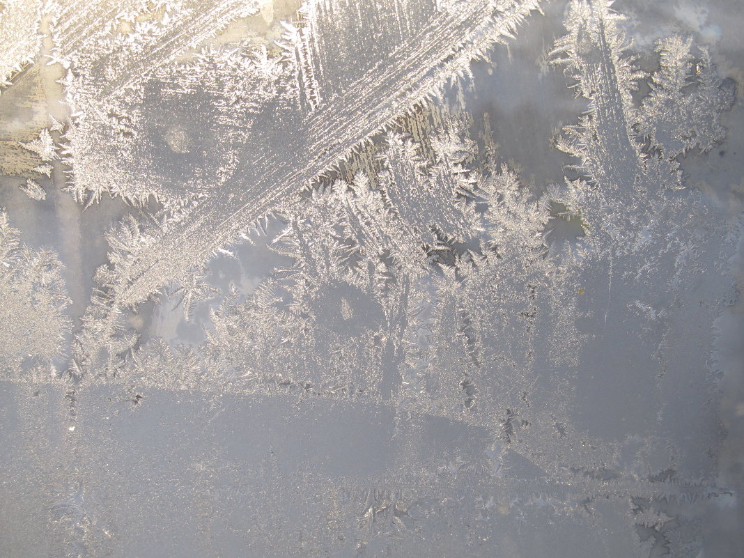 на моём окне мороз рисует мне картины - Елена Шаламова