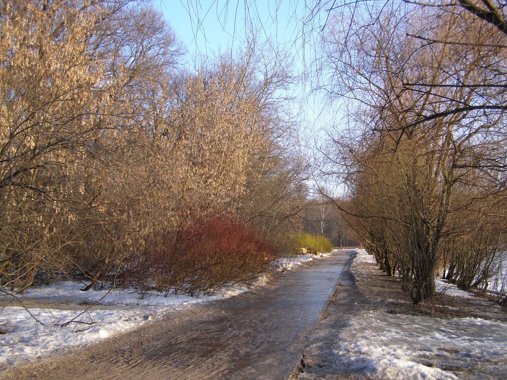 ледяная дорожка - Анна Воробьева