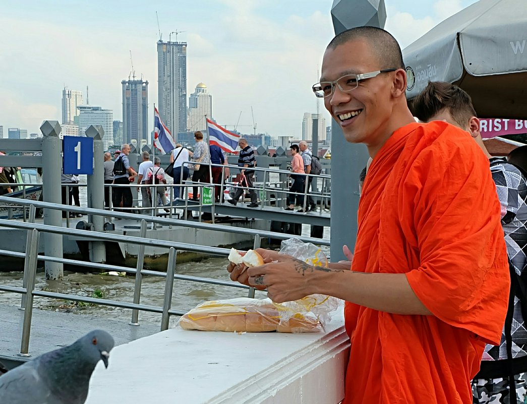 Монах кормит голубей - Олег Гаврилов