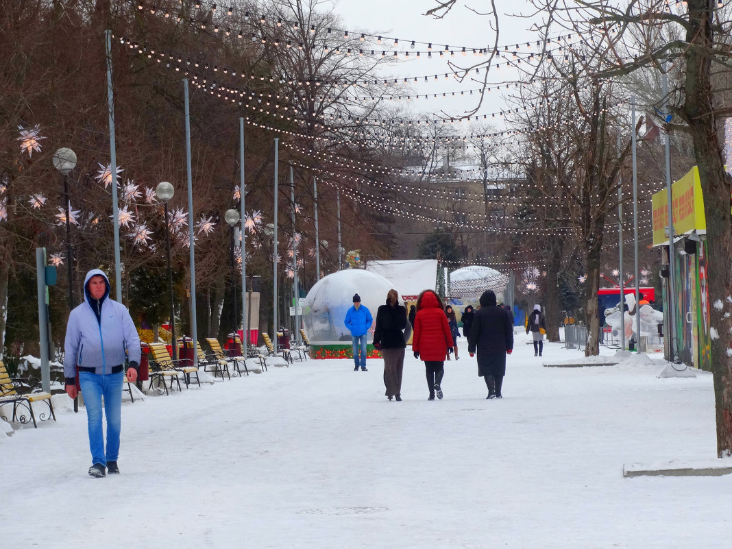 Прогулка по зимнему парку... - Тамара (st.tamara)