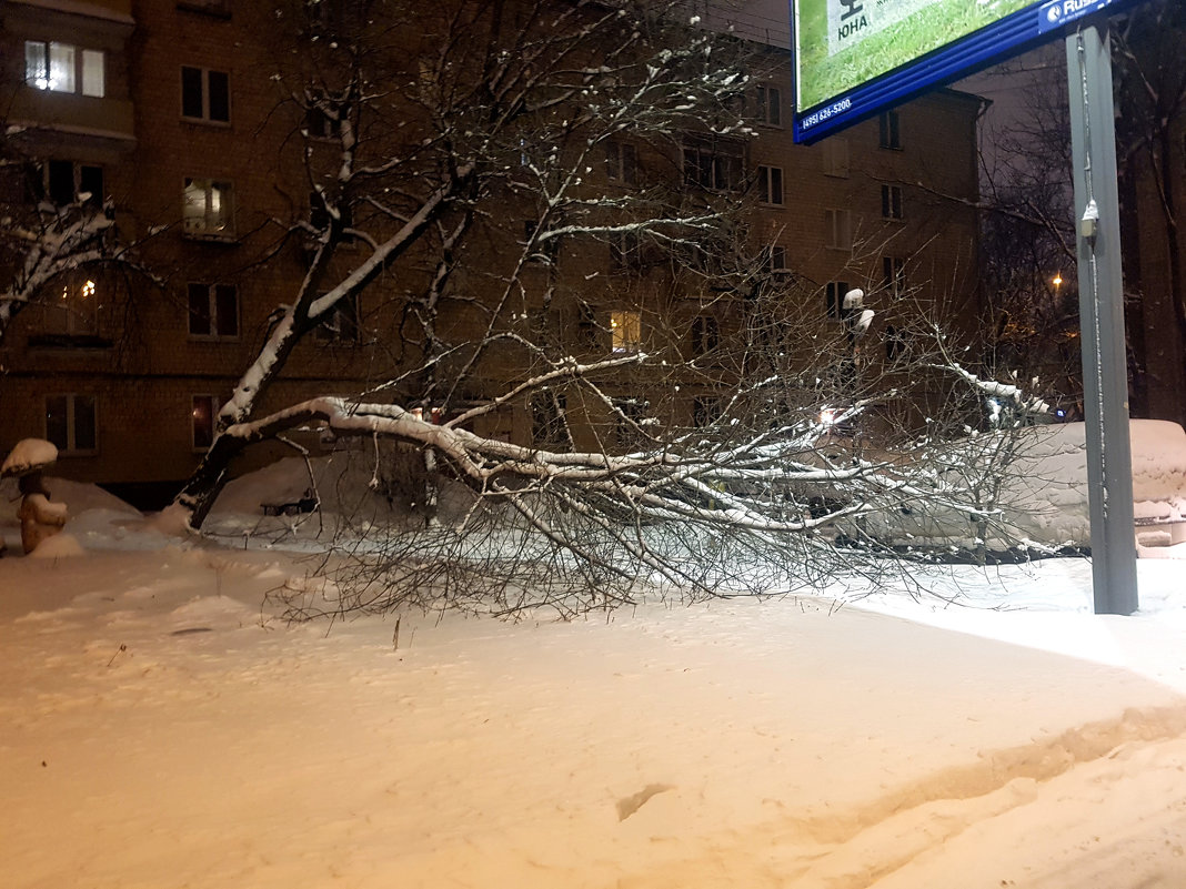 И пришёл в Москву большой снег... в самом конце января! - Елена 