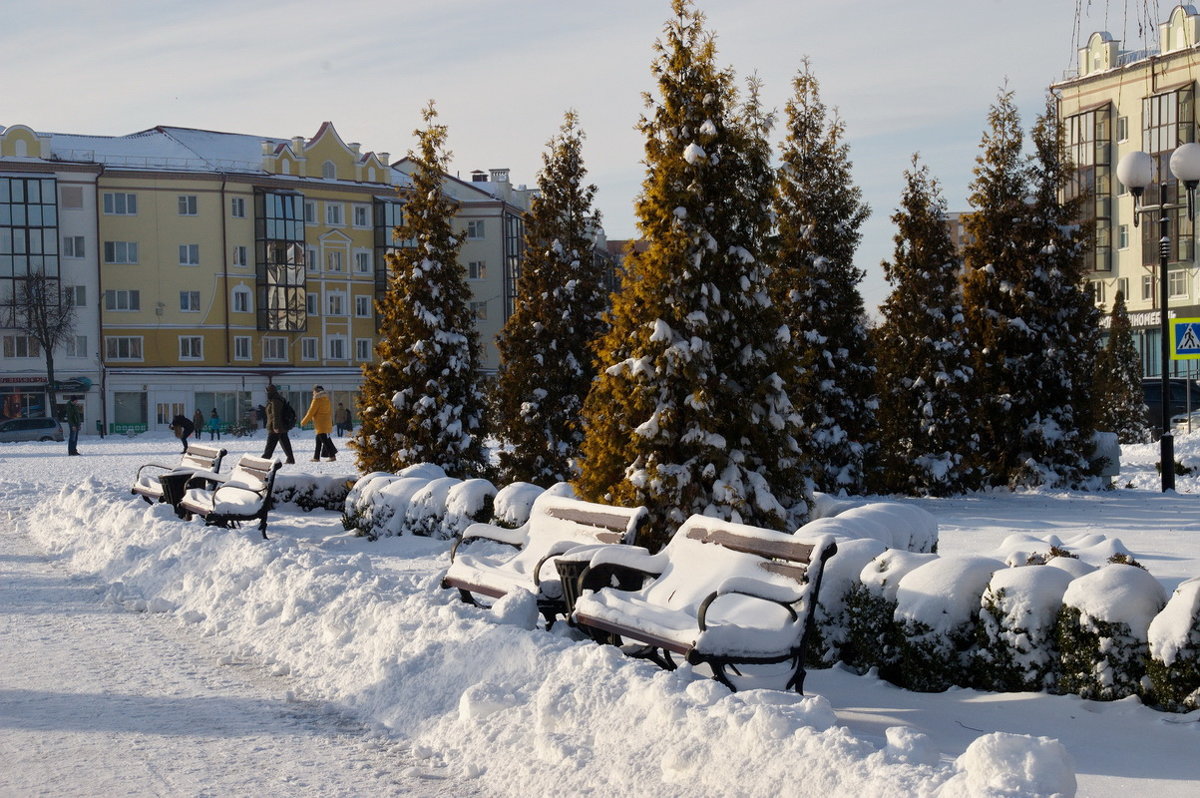 Зима в городе - Елена Пономарева