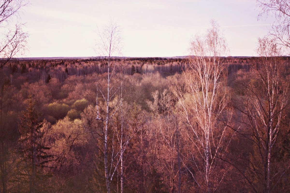 Глазовский край - Любовь 