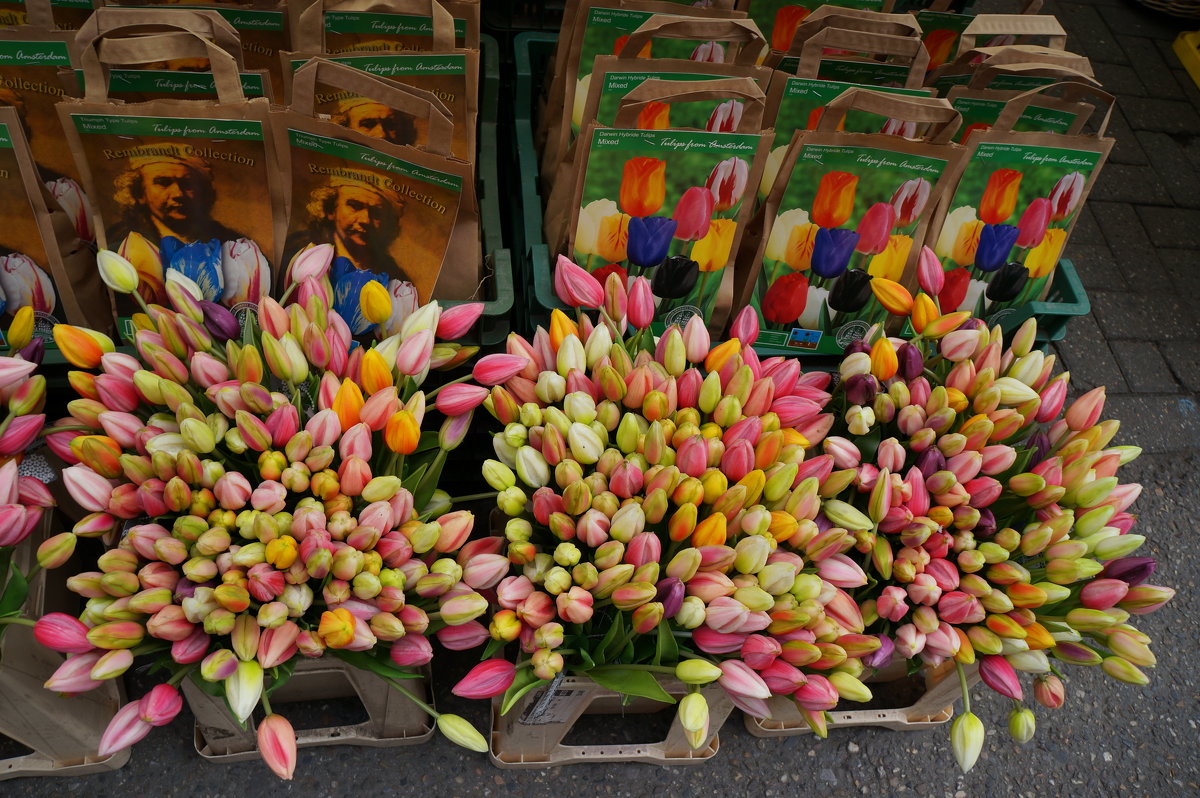 Цветочный рынок. Амстердам - Алёна Савина