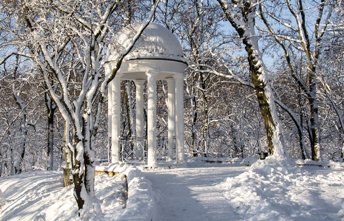 Севастопольский парк Минск зимой