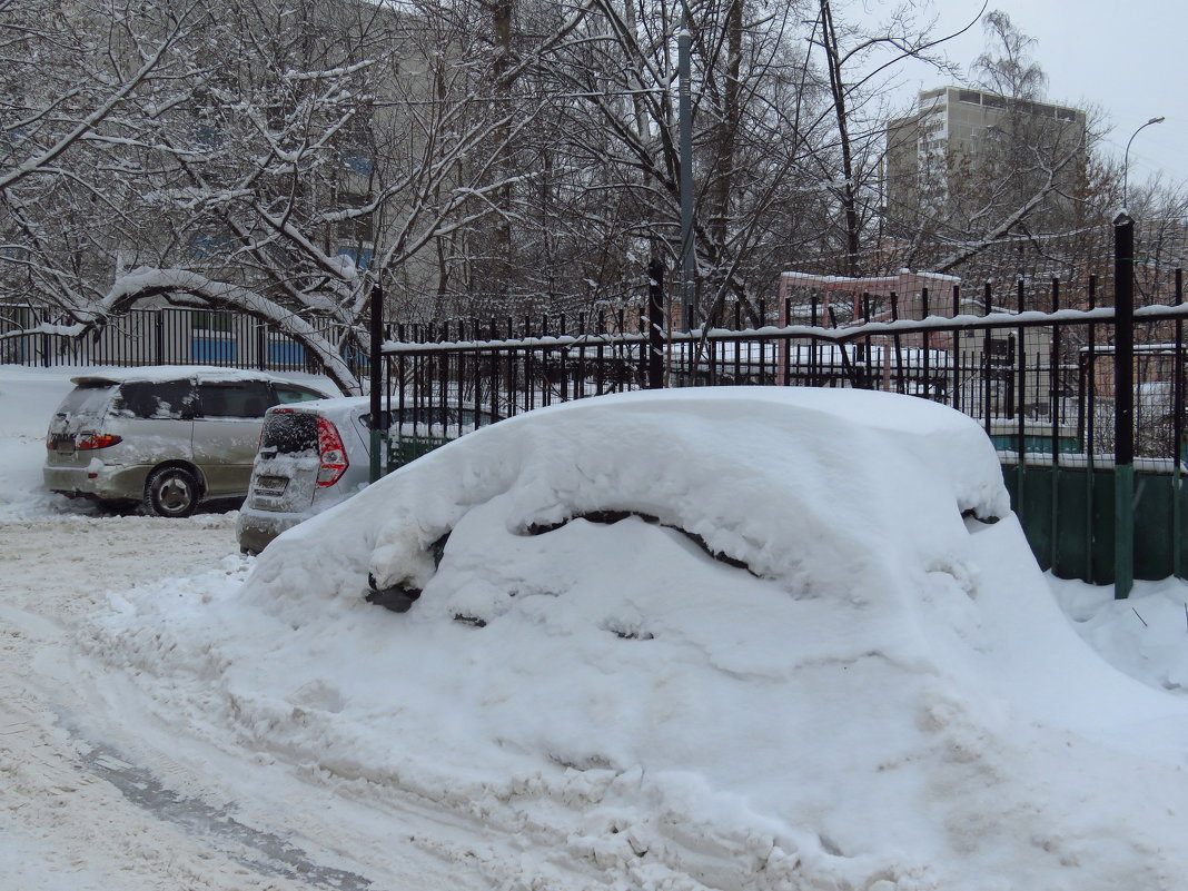 Свершилось: в Москве - настоящий снег! - Мне нравится. - Андрей Лукьянов
