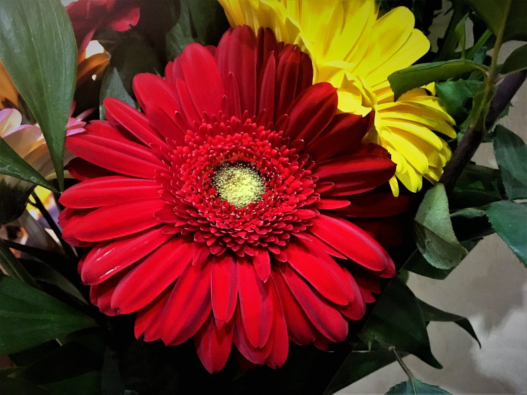Цветок с букета - Алла ZALLA