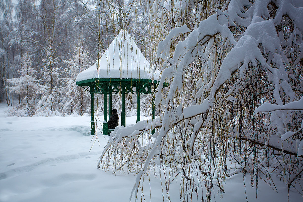 В зимнем парке - Андрей Шаронов