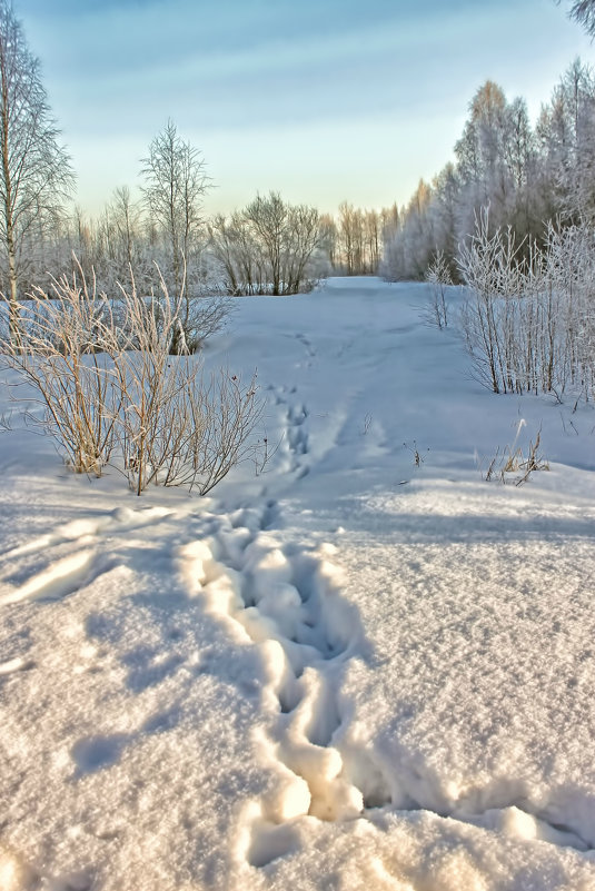 *** - Анжела Пасечник