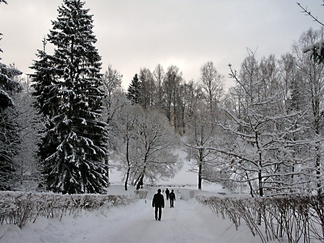 Снежный февраль. - ТАТЬЯНА (tatik)