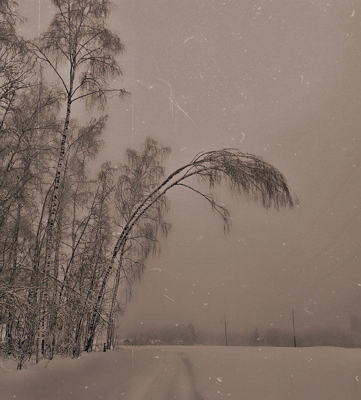 Январь в тумане - Виктория Нефедова