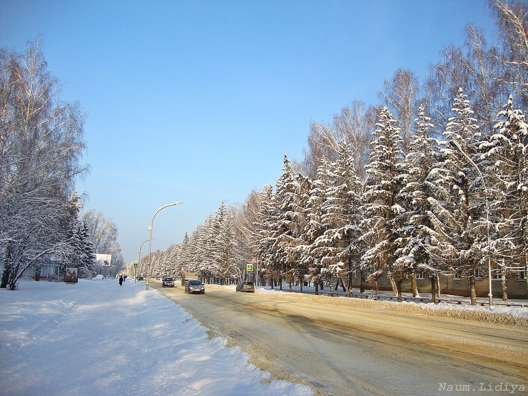 Морозная погода - Лидия (naum.lidiya)