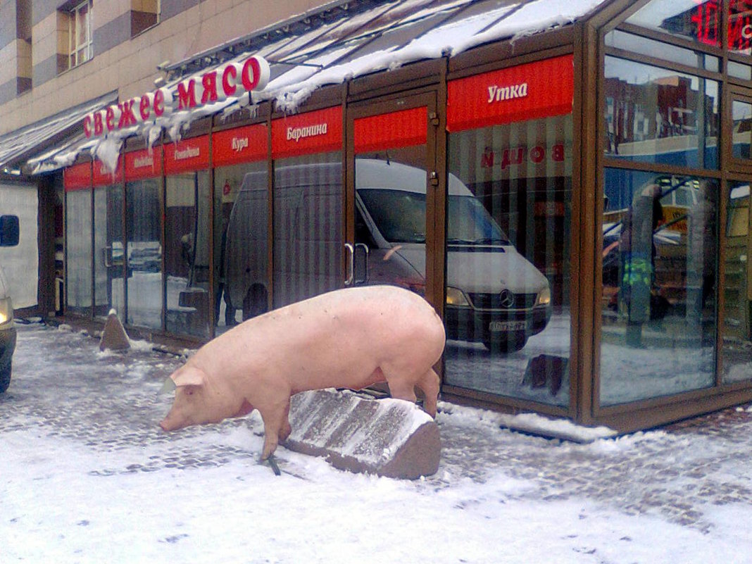 Нарочно не придумаешь... - Агриппина 