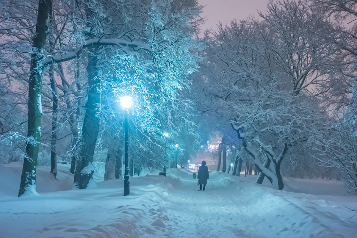 Москва. Коломенское. Ночь. Метель. - Игорь Герман