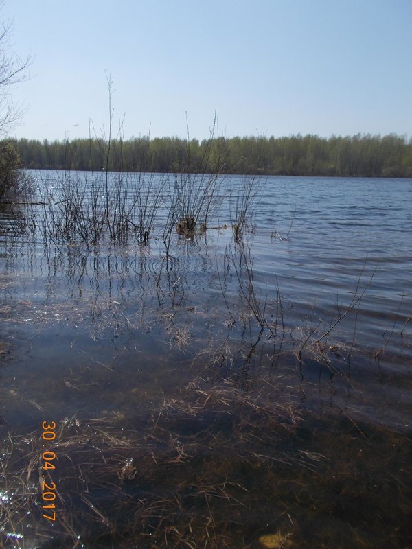 водоем - Светлана Рябова 