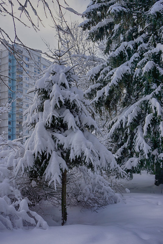 Зима в городе - Ольга 