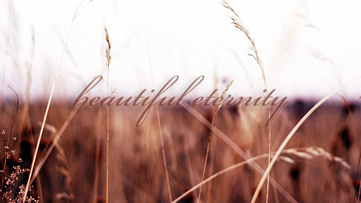 Beautiful Eternity - Дмитрий Алексеев