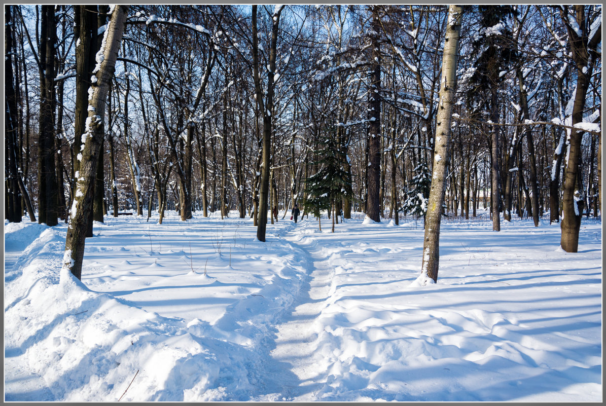Зима, солнце, снег - Владимир Белов